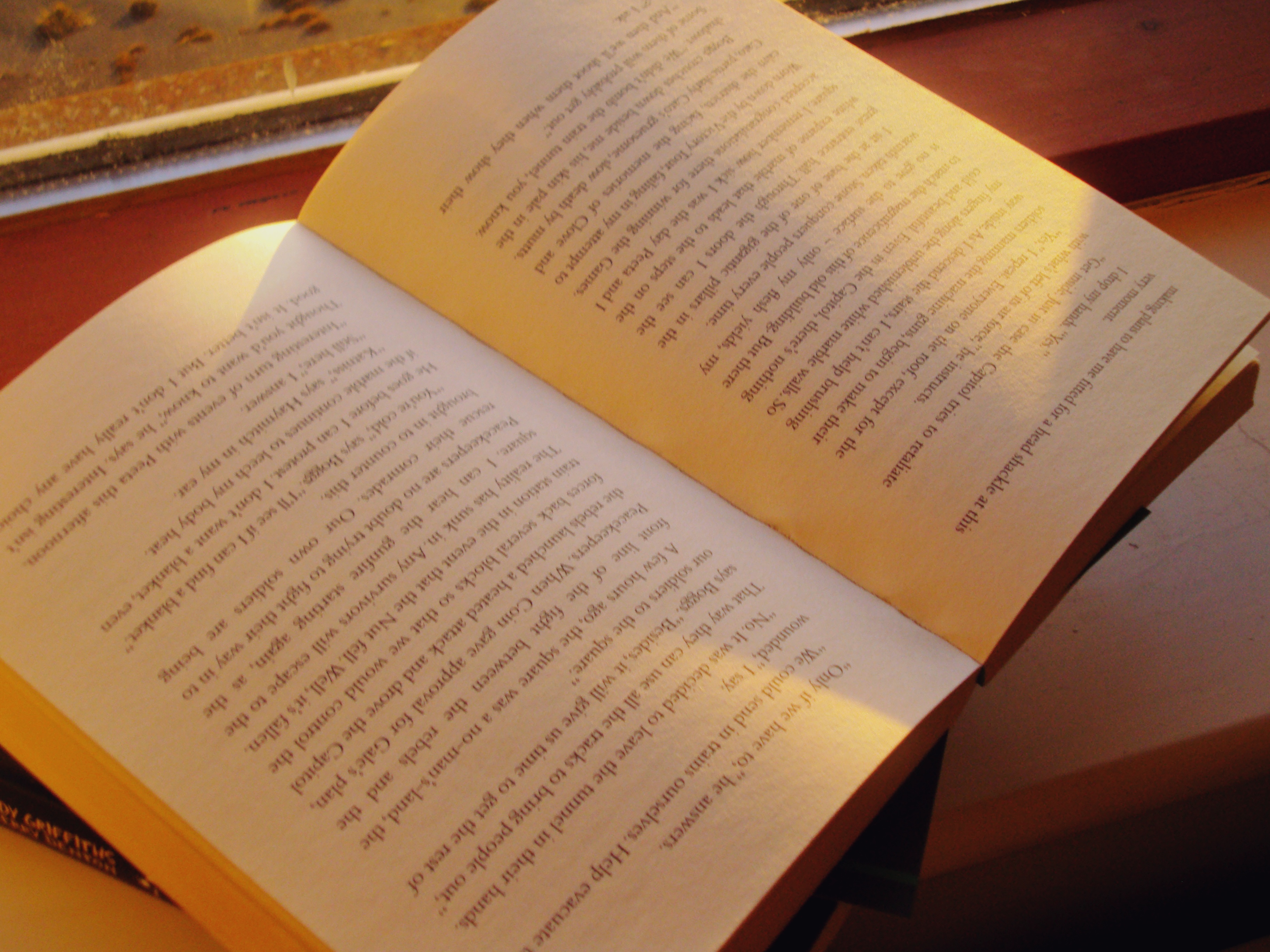 A topdown view of a book lit by the sunrise.